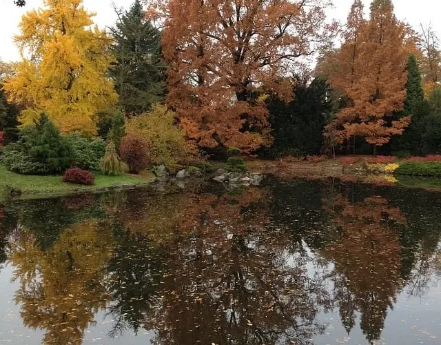 staw wrocław