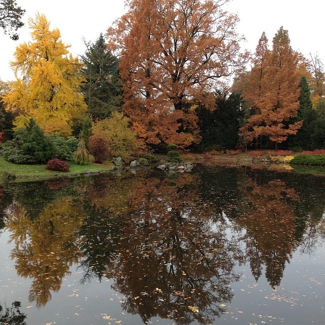 10 akwenów wodnych we Wrocławiu – nie tylko dla wędkarzy i amatorów kąpieli