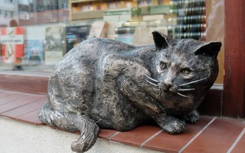 Kot Dante powrócił na parapet – pomnik przy antykwariacie przy ul. Szewskiej