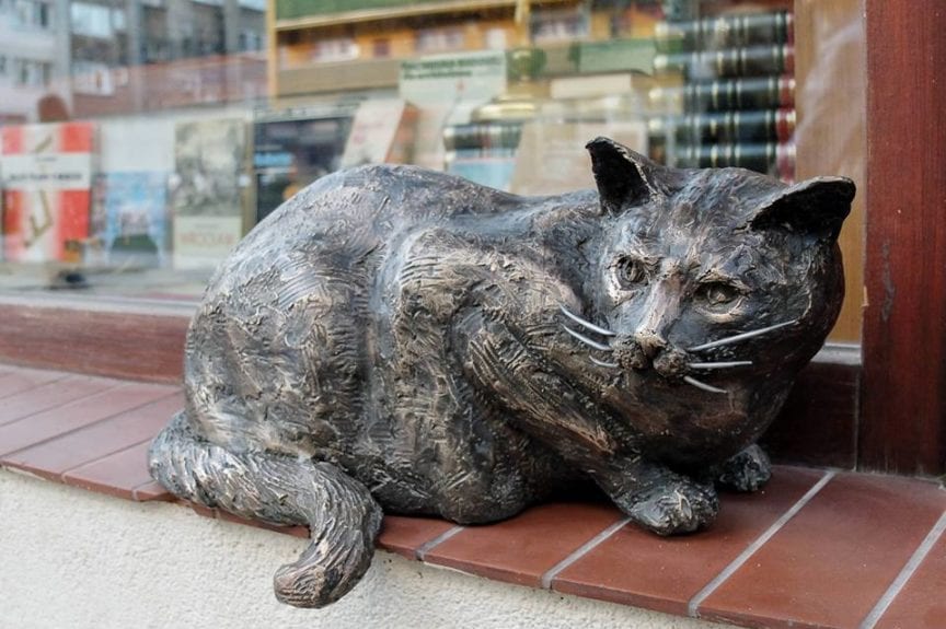 Kot Dante powrócił na parapet – pomnik przy antykwariacie przy ul. Szewskiej