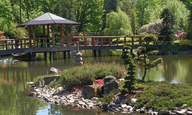 Wrocławski Ogród Japoński – jedna z najpiękniejszych atrakcji Wrocławia