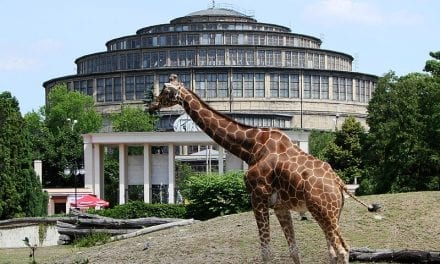 Wrocławskie ZOO, czyli najstarszy ogród zoologiczny w Polsce