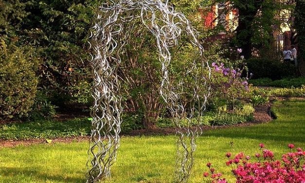 Ogród botaniczny we Wrocławiu