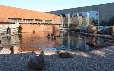 Afrykarium, czyli trochę tropików we Wrocławskim ZOO