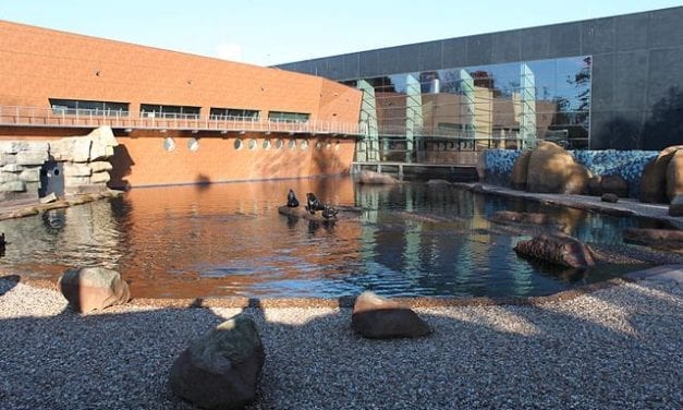Afrykarium, czyli trochę tropików we Wrocławskim ZOO