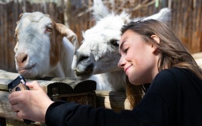 Zabytki we wrocławskim ZOO