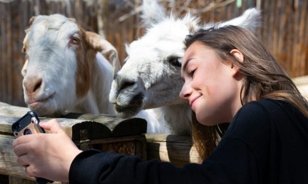 Zabytki we wrocławskim ZOO