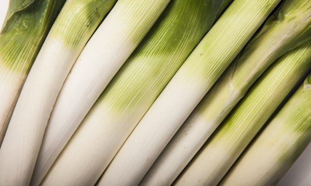 Czy warto być wegetarianinem?