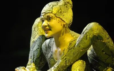 Wrocław jak co roku staje się cyrkową stolicą za sprawą festiwalu cyrków - Cyrkopole