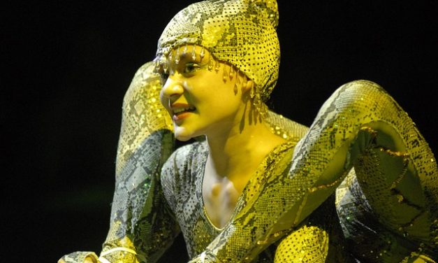 Cyrkopole we Wrocławiu