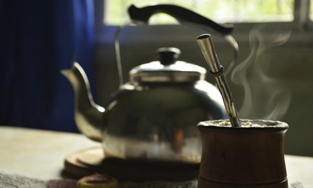 Co to jest Yerba Mate?