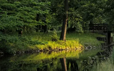 Park Szczytnicki – najstarszy park we Wrocławiu