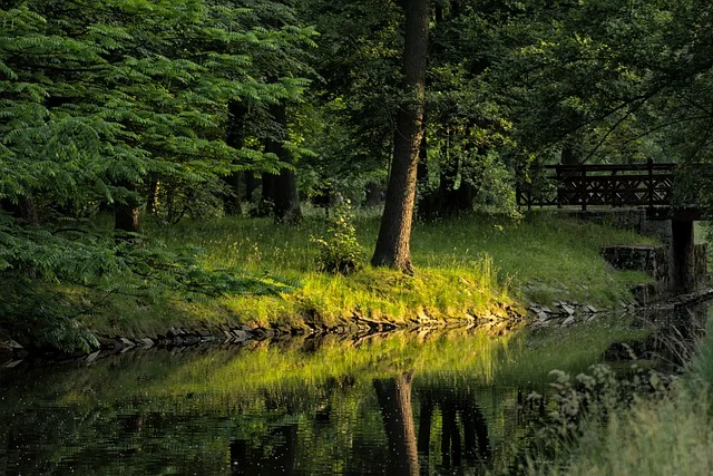 Park Szczytnicki – najstarszy park we Wrocławiu