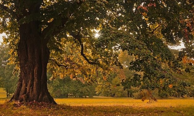 Wrzesień 2021, co robić we Wrocławiu?