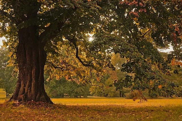 Wrzesień 2021