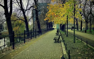jesien we wrocławiu centrum miasta nad fosą park wolności
