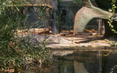 Afrykarium i ZOO Wrocław — przewodnik dla rodzin