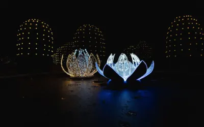 Lumina Park Wrocław — przewodnik