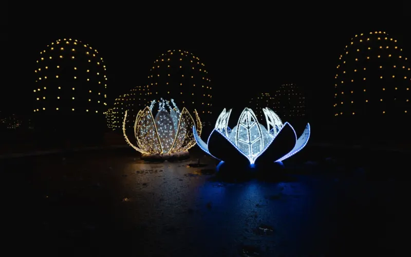 Lumina Park Wrocław — przewodnik