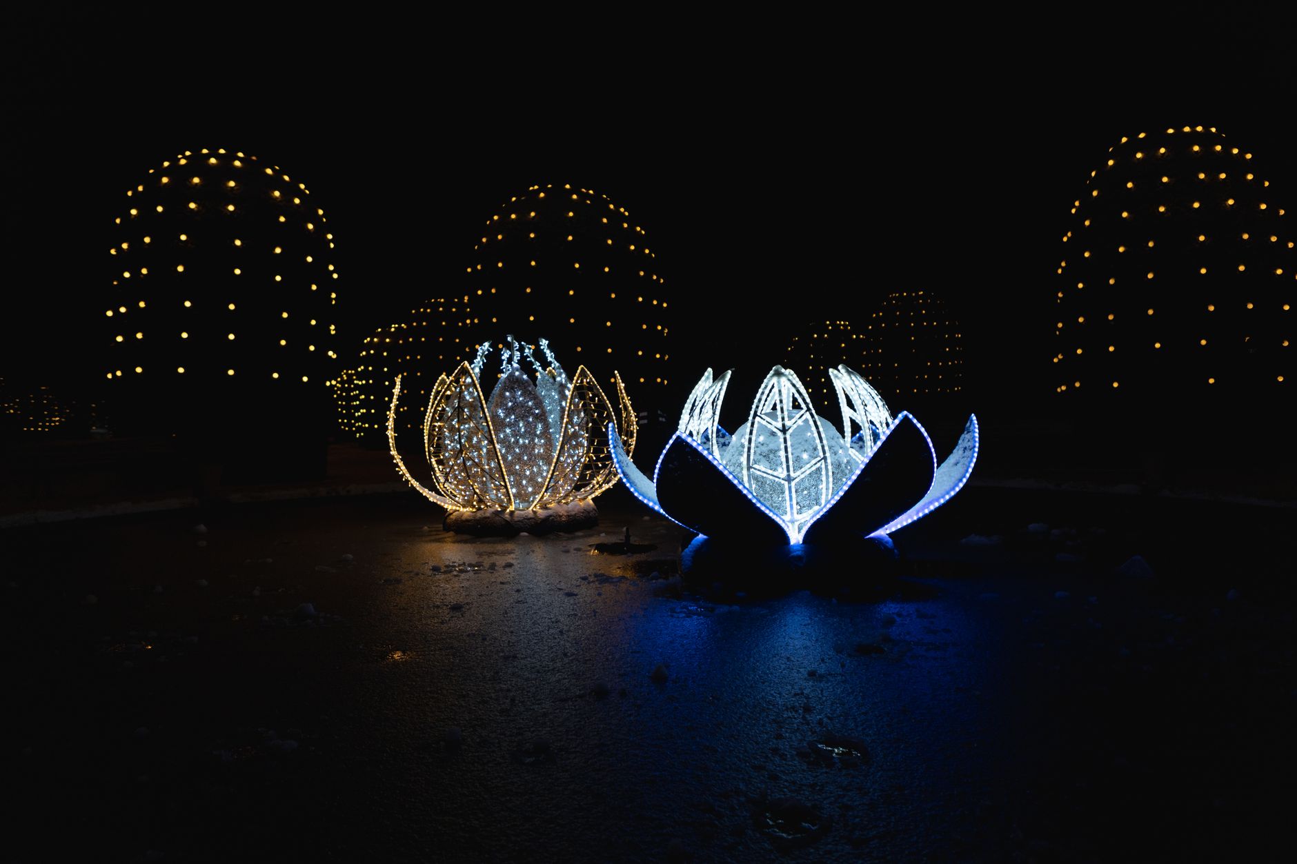 Lumina Park Wrocław — przewodnik