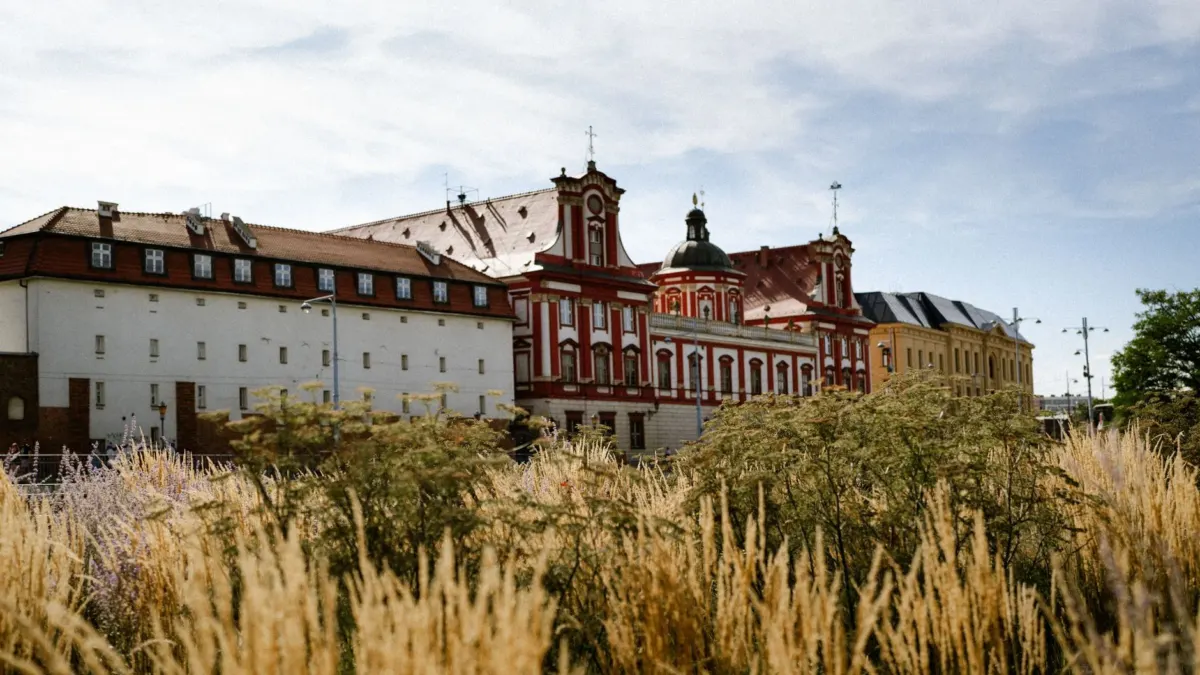 Muzeum Narodowe we Wrocławiu — przewodnik po kolekcji