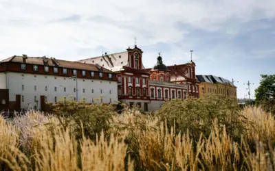 Muzeum Narodowe we Wrocławiu — przewodnik po kolekcji