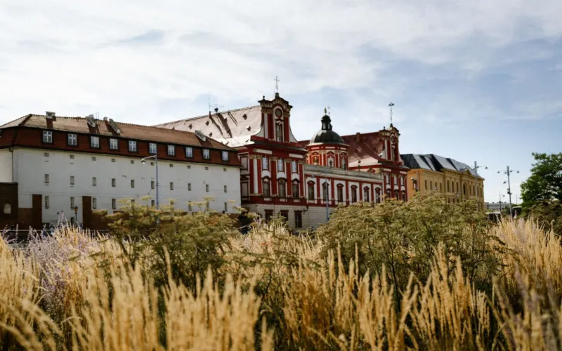 Muzeum Narodowe we Wrocławiu — przewodnik po kolekcji