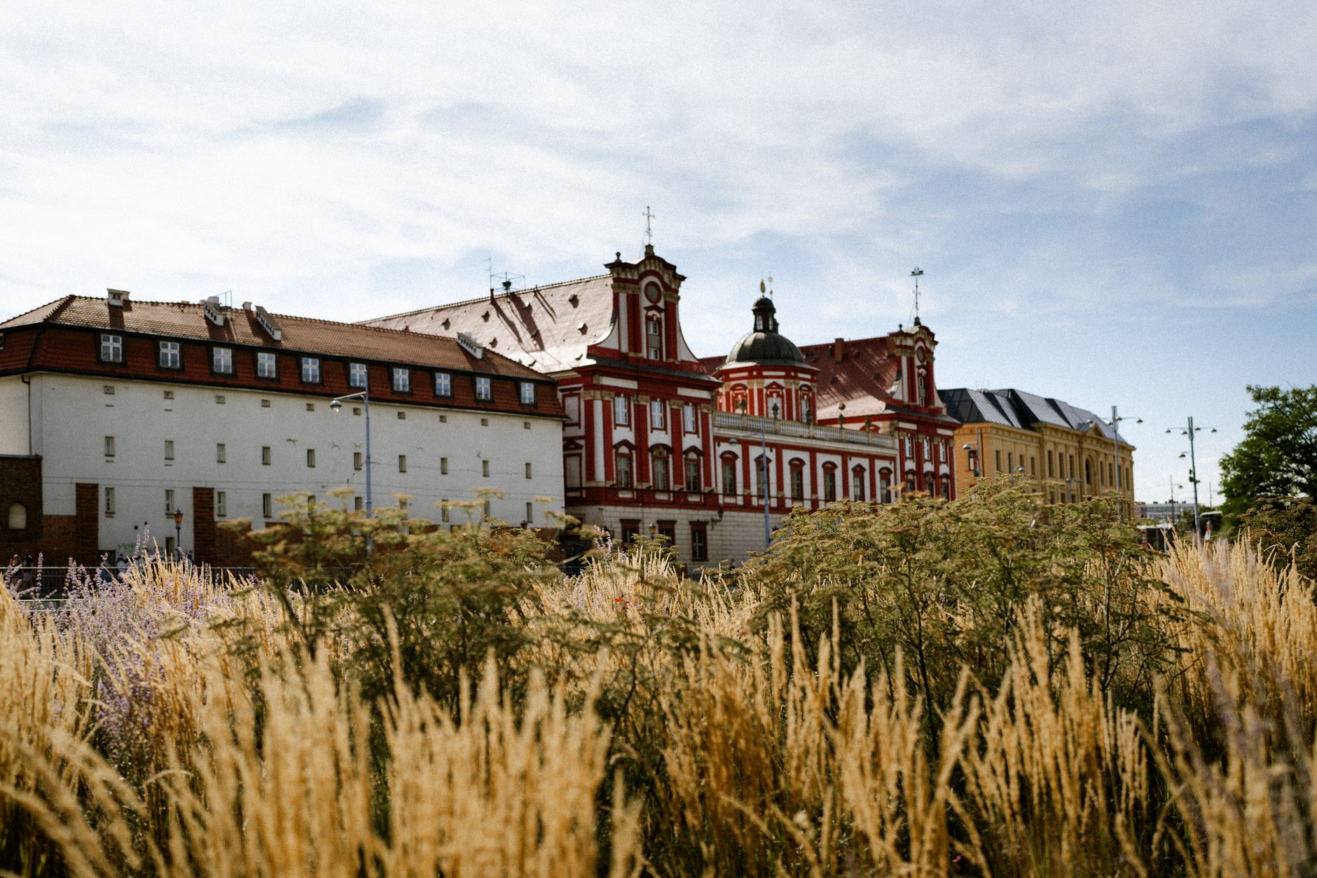 Muzeum Narodowe we Wrocławiu — przewodnik po kolekcji