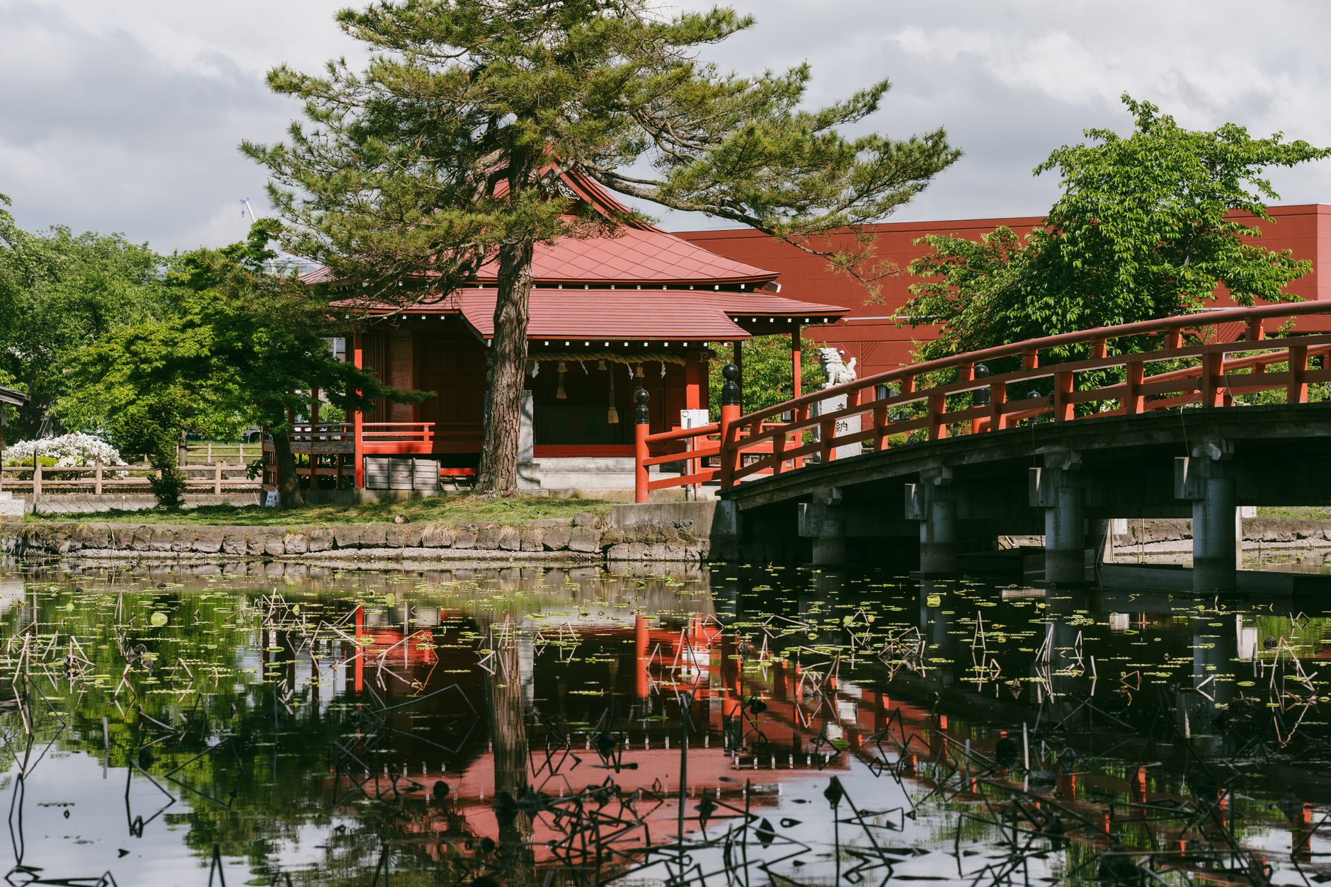 Ogrod Japonski Wroclaw Przewodnik