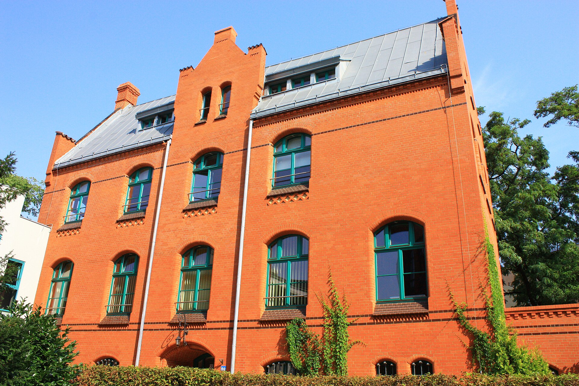 Muzeum Medycyny Sądowej we Wrocławiu – zbiory Uniwersytetu Medycznego i zasady wstępu