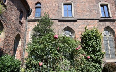 Muzeum Architektury we Wrocławiu – zbiory, siedziba i zwiedzanie