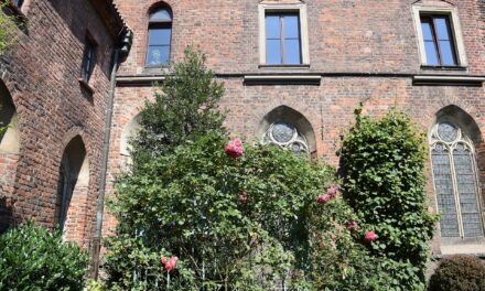 Muzeum Architektury we Wrocławiu – zbiory, siedziba i zwiedzanie